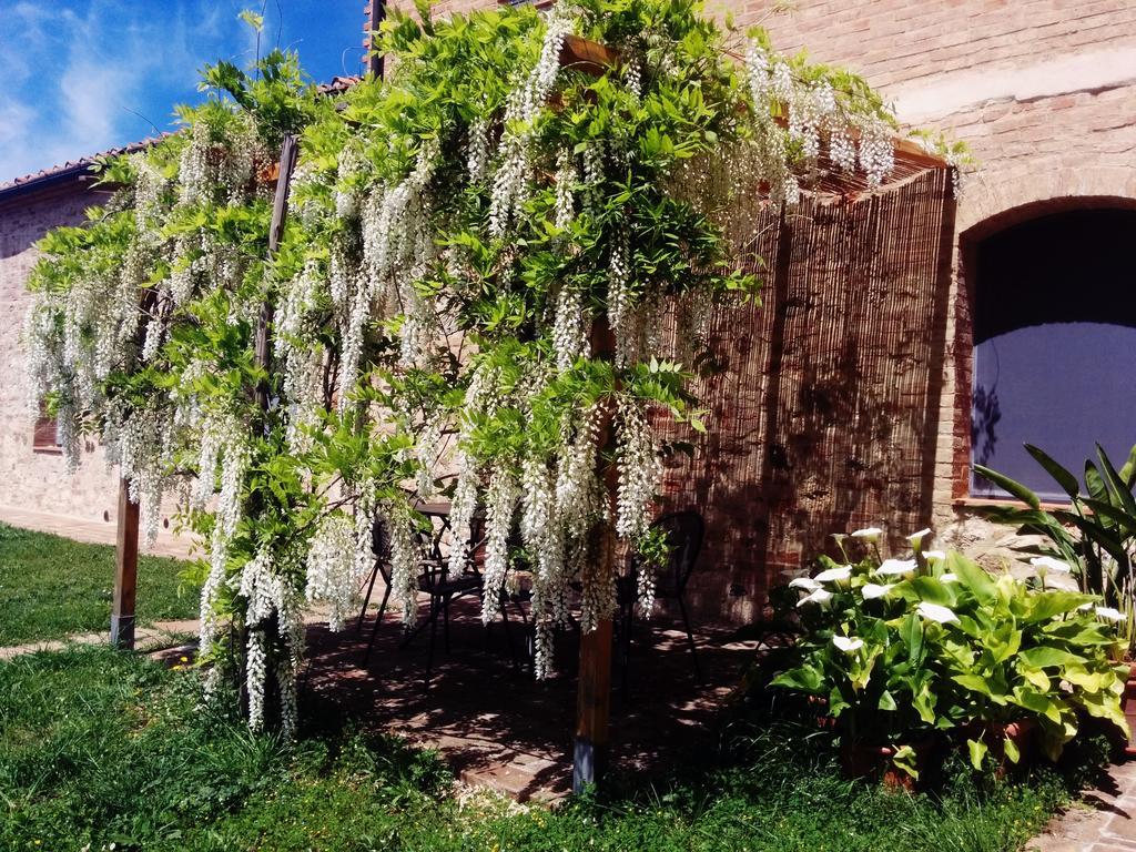 La Fornace Di San Galgano Vila Frosini Exterior foto